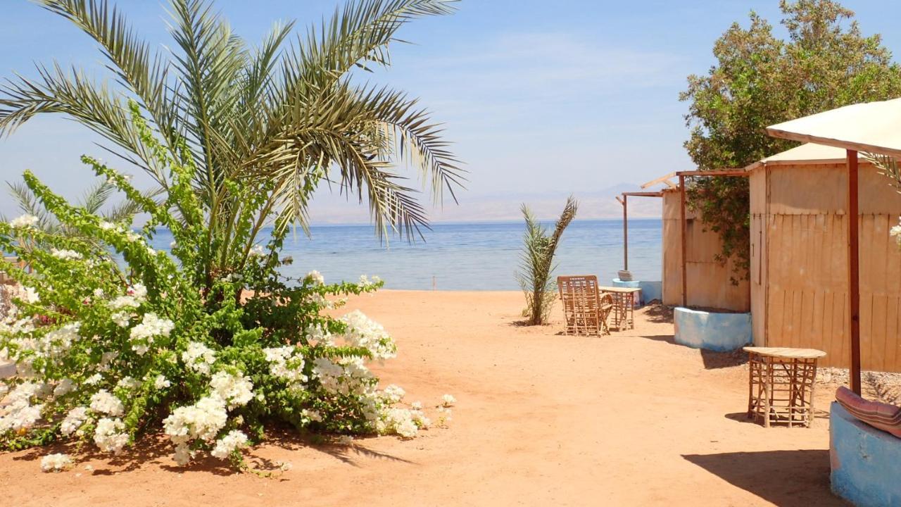 Bedouin Star Hotel Taba Exterior photo
