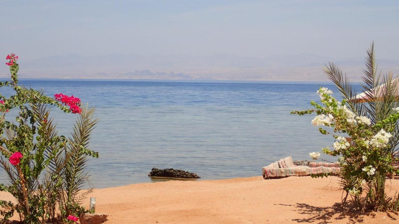 Bedouin Star Hotel Taba Exterior photo