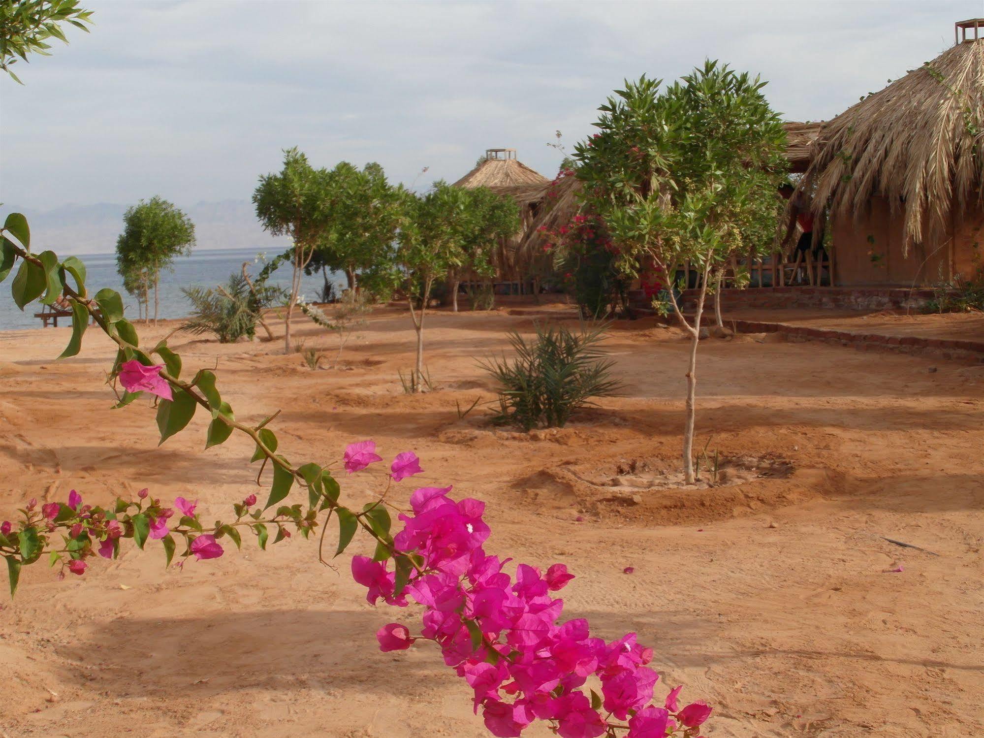 Bedouin Star Hotel Taba Exterior photo